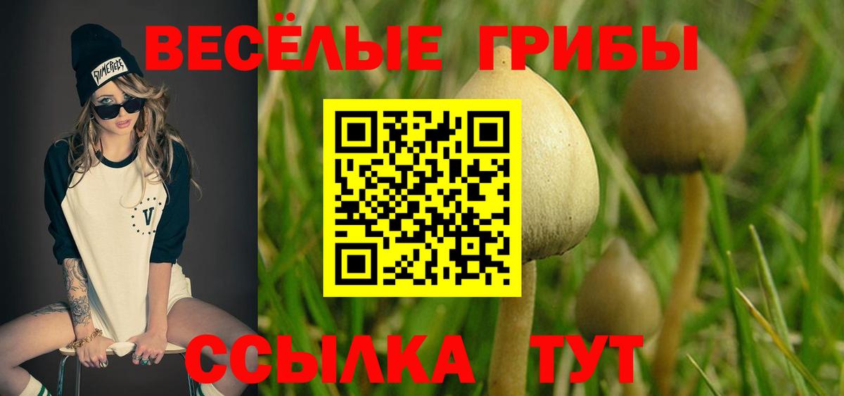 Ялта  Галлюциногенные грибы прущие грибы  Вход с VPN 